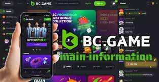 How to Navigate the BC.Game Login Process Seamlessly How to Navigate the BC.Game Login Process Seamlessly